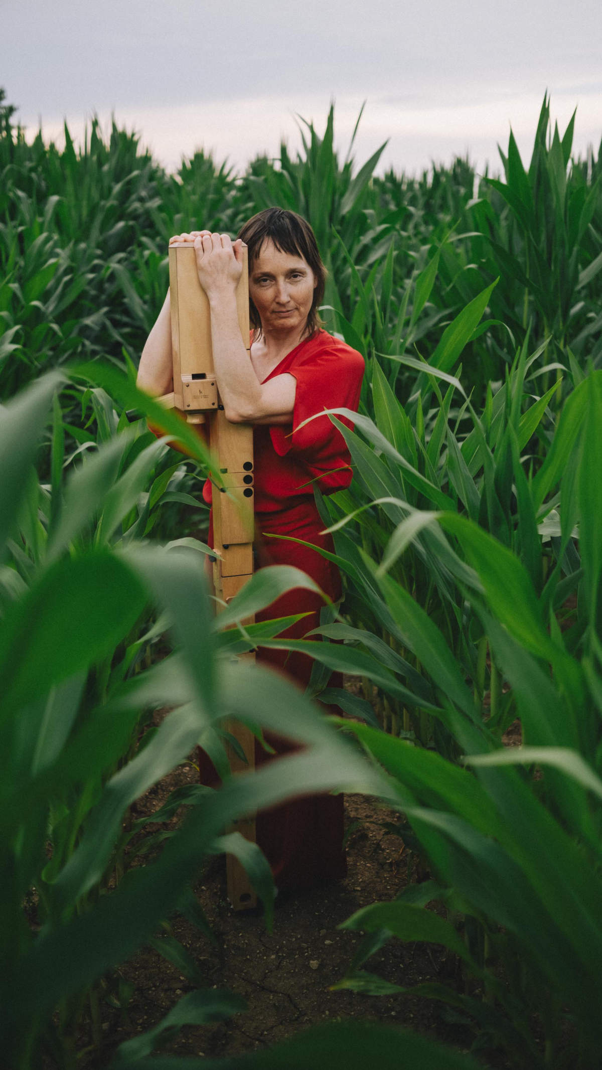 eine Person in einem roten Kleid steht mit einem langen hölzernen Instrument in einem grünen Maisfeld
