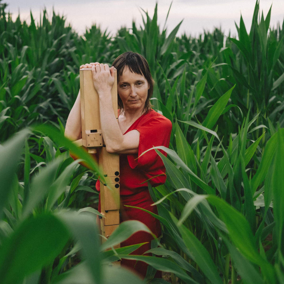 eine Person in einem roten Kleid steht mit einem langen hölzernen Instrument in einem grünen Maisfeld