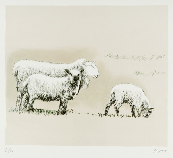 Skizze von drei Schafen