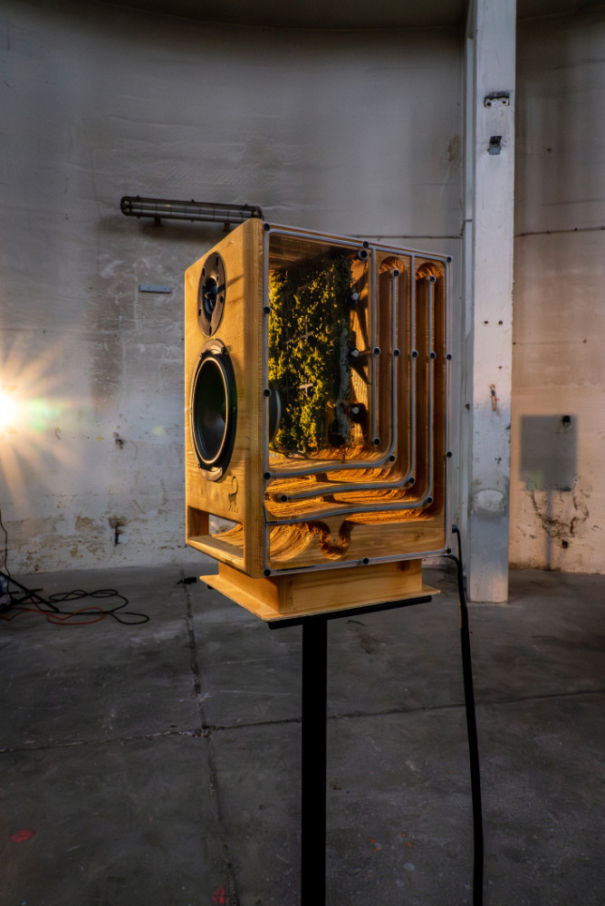 eine offene Lautsprecherbix aus Holz in der moosartige Pflanzen wachsen