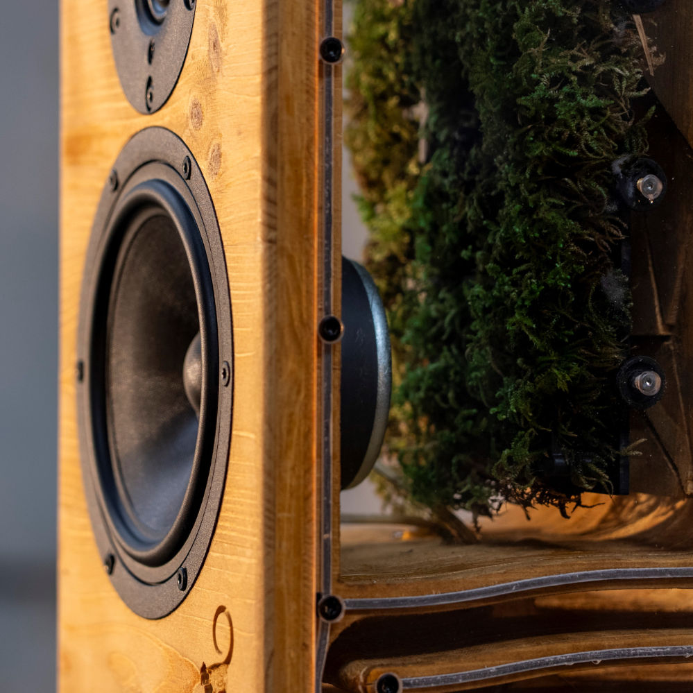 Ausschnitt einer offenen Lautsprecherbox, in der ein moosartiges Geflecht wächst