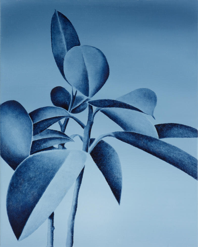 eine in Blautönen gemalte Pflanze